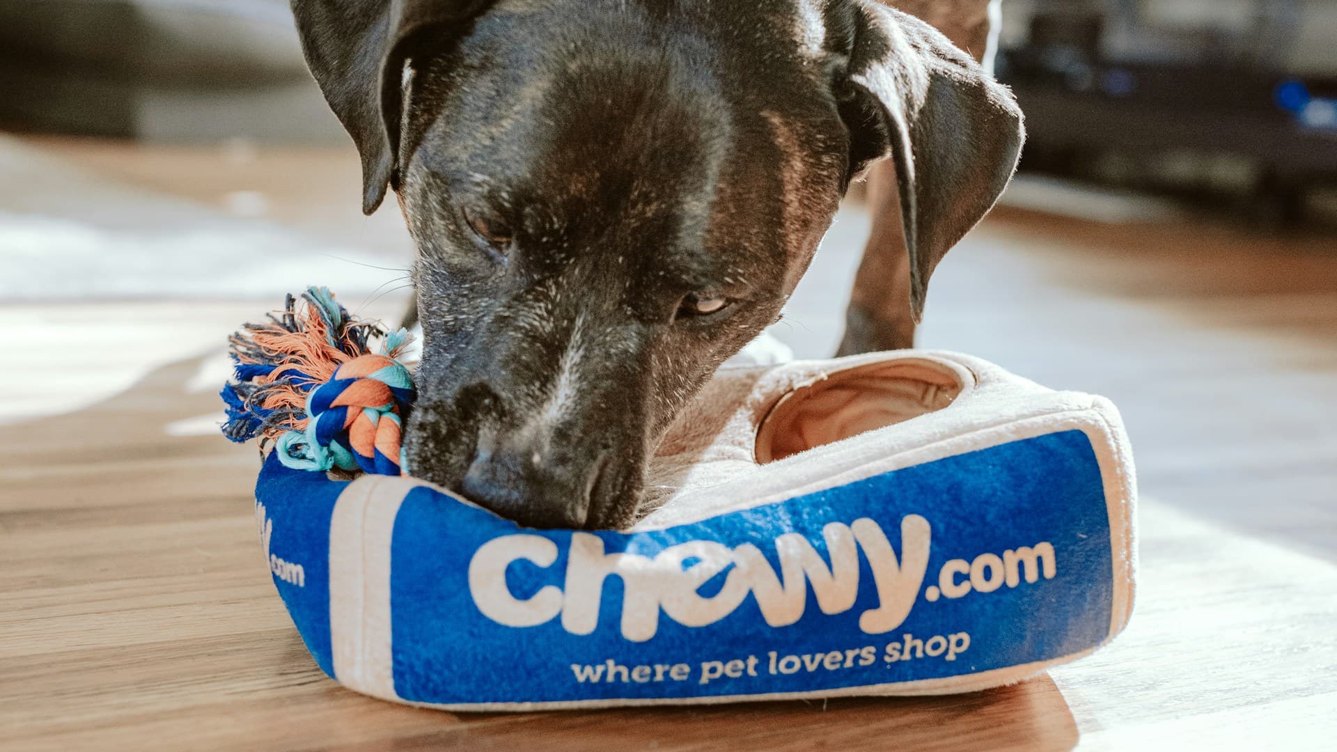 Lemmikkihotellit ja täysihoitolat